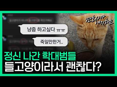 길고양이랑 들고양이가 다르다고?