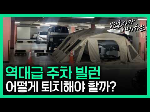 참교육 해줘도 괜찮을까?