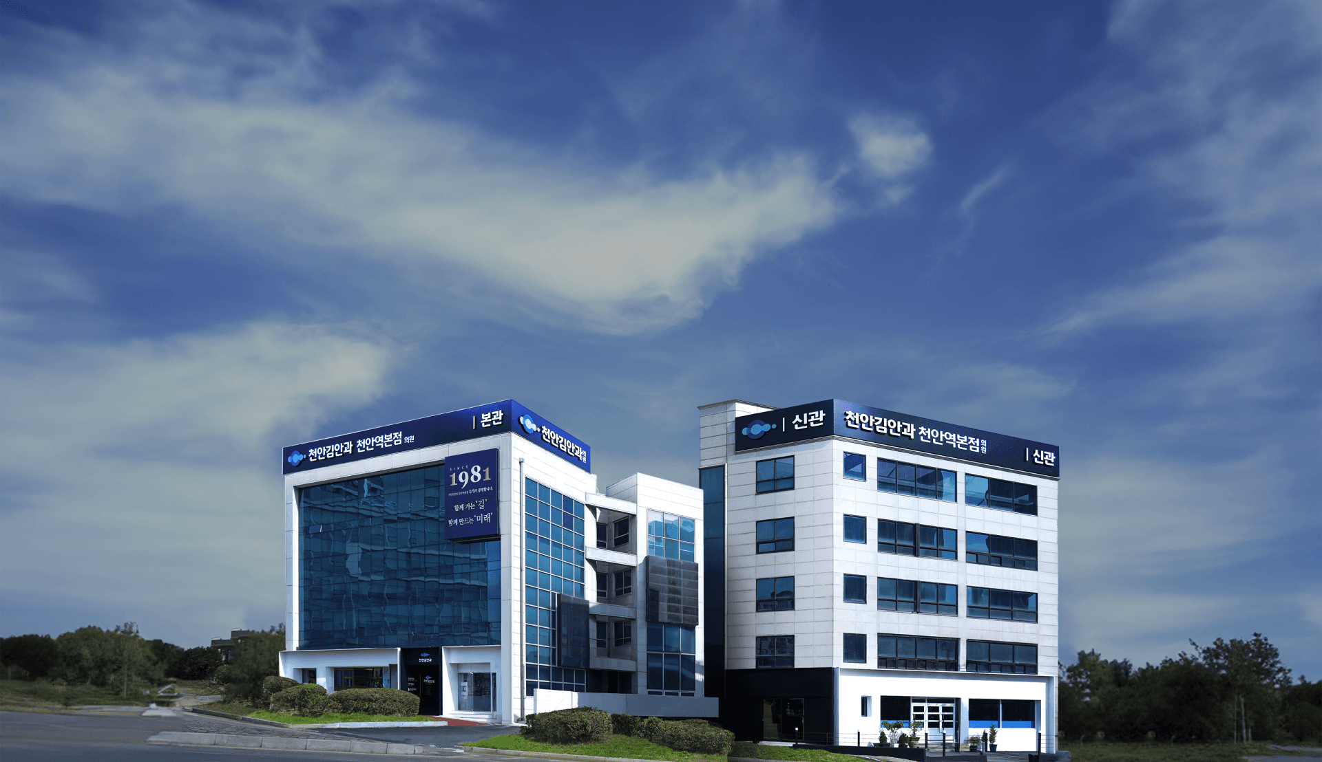 自1981年起,只专注于您的眼睛