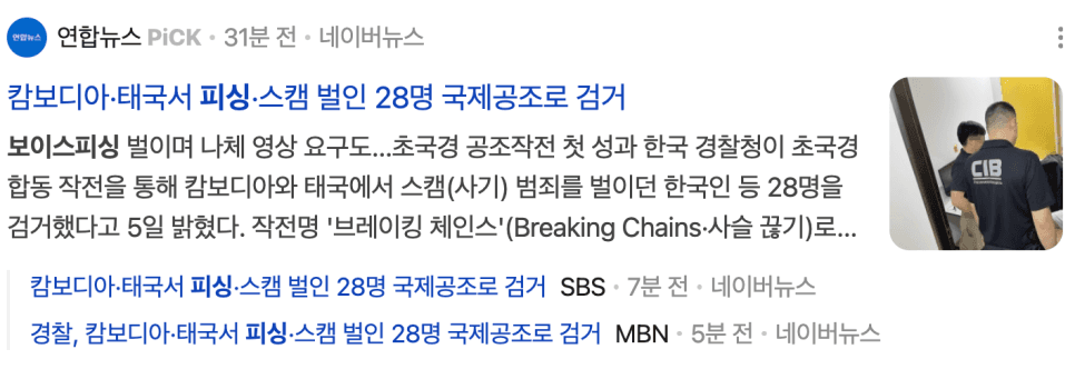 전자금융사기, 사이버금융범죄 초범 혐의 대응은