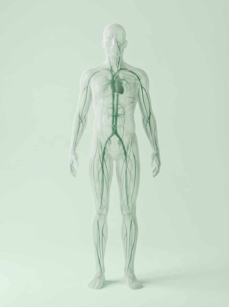 Full Body Thread Embedding Program